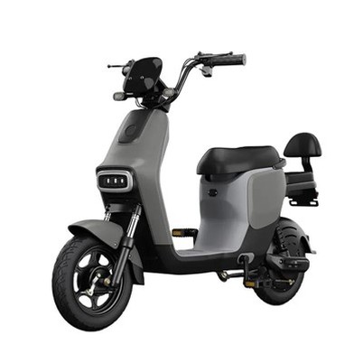 Xe đạp điện động cơ 500W
