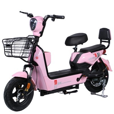 Xe Đạp Điện, Xe Đạp Điện Mini, Xe Scooter, Xe Đạp Điện Người Lớn, Xe Scooter
