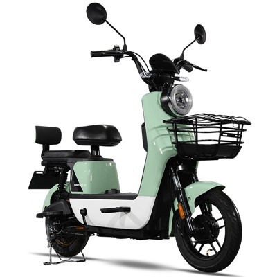 Xe Đạp Điện 250 Watt
